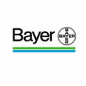 Bayer