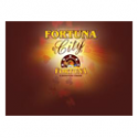 Fortuna City